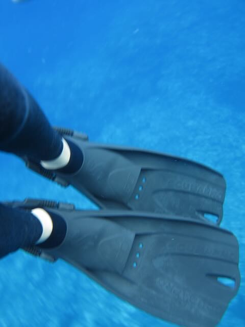 Snorkling med mantarokker