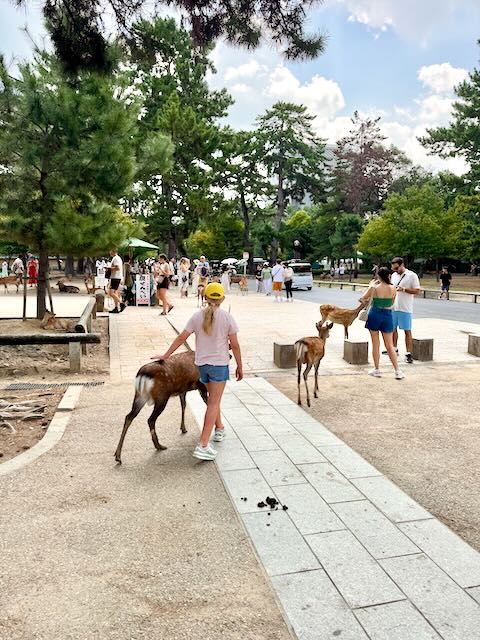 Nara Deer Park